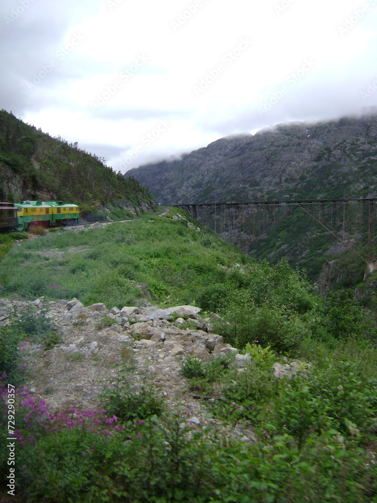 train approaching bridge over mountain valley