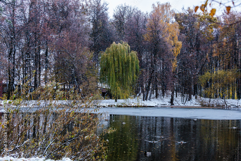 Beautiful autumn landscape in the park with lake, trees and snow