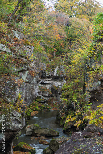 日本 宮城県仙台市太白区を流れる名取川と奇岩が並ぶ峡谷、磊々峡の紅葉