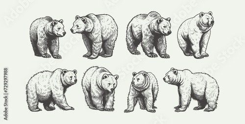 Fototapeta Naklejka Na Ścianę i Meble -  Engraved Bear Vector Set: Hand-Drawn Animal Sketches in Retro Halftone Ink Style - Vintage Dotted Illustrations for Creative Projects