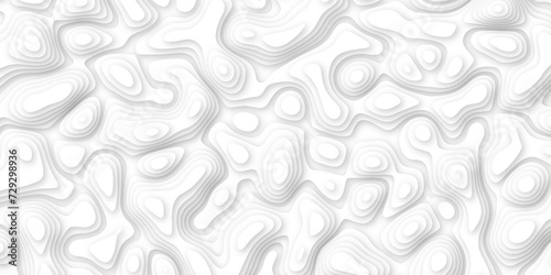  3d render, abstract white paper background. Paper cut vector art background banner texture. multi layer cutout geometric pattern on vector, Abstract soft white background with waves.