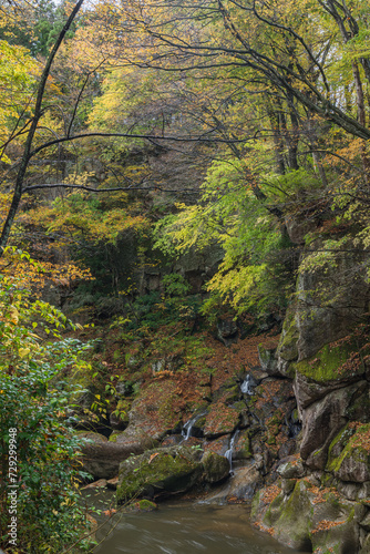 日本 宮城県仙台市太白区を流れる名取川と奇岩が並ぶ峡谷、磊々峡の紅葉