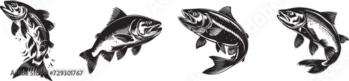 salmon fish vector illustration black and white.