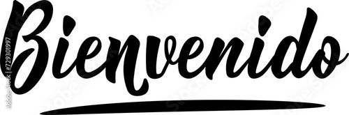 Bienvenido. Lettering. Translation from Spanish - Welcome. Ink illustration