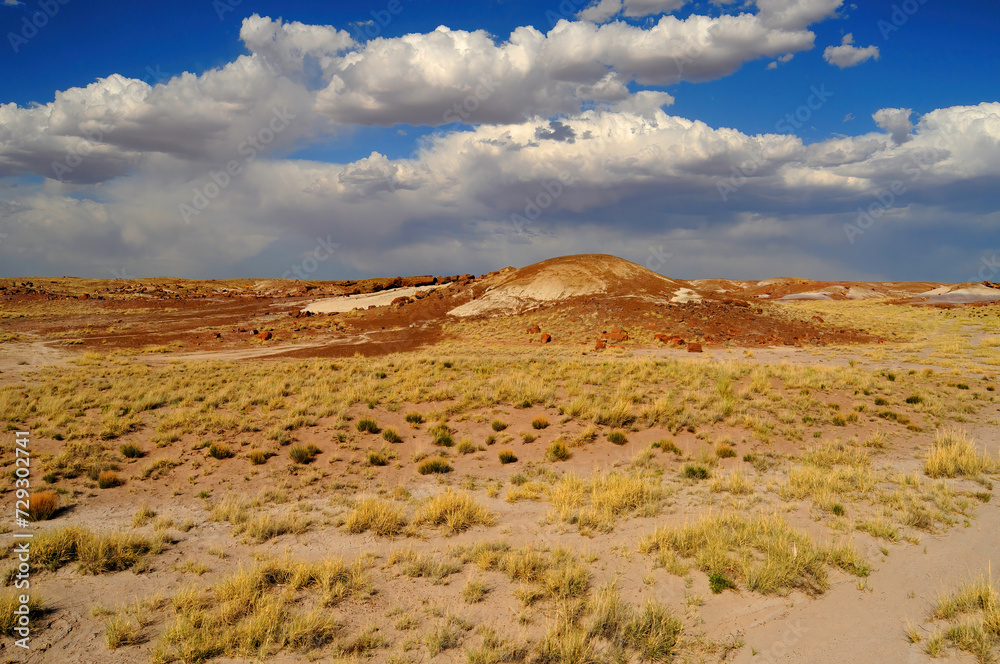 Fototapeta premium Rugged and Desolate Landscape Petrified Forest Arizona
