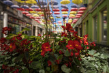 CITYSCAPE - A flowers on the bouleward in city center under colorful umbrellas 