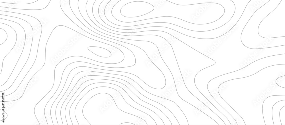 Abstract topographic Contour Map Subtle White Vector Background . Blank Detailed topographic patter line map background .Topographic Map Of wild west abstract Vector Background.	 - obrazy, fototapety, plakaty 