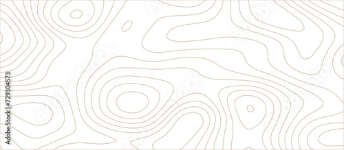 Abstract topographic Contour Map Subtle White Vector Background . Blank Detailed topographic patter line map background .Topographic Map Of wild west abstract Vector Background. 