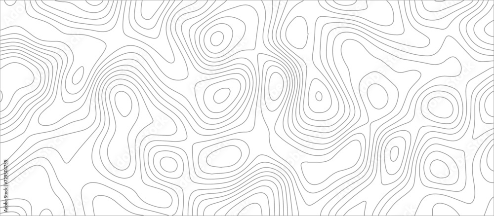 Abstract topographic Contour Map Subtle White Vector Background . Blank Detailed topographic patter line map background .Topographic Map Of wild west abstract Vector Background.	