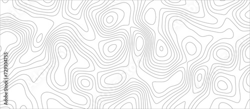 Abstract topographic Contour Map Subtle White Vector Background . Blank Detailed topographic patter line map background .Topographic Map Of wild west abstract Vector Background.	