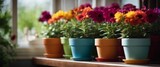 Colorful flowerpots lined up in front of a window.