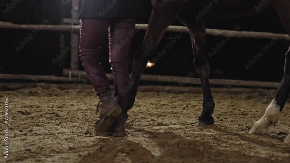Horse hooves walking during training. Close-up of legs. Woman training brown horse at sandy arene at night. 4K, UHD Horse hooves walking during training. Close-up of legs. Woman training brown horse at sandy arene at night. 4K, UHD