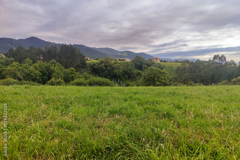 a lush green field with distant houses, under a cloudy sky with mountains serving as a backdrop a lush green field with distant houses, under a cloudy sky with mountains serving as a backdrop