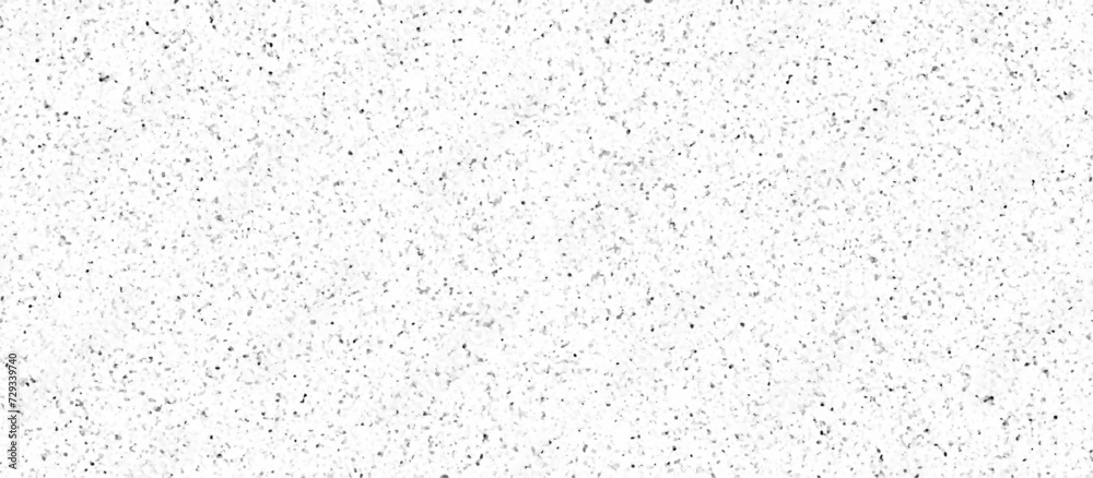 White granite terrazzo floor seamless pattern .concrete textured surface .Grain dots white wall background texture .stone granite black white background marble surface pattern. White granite terrazzo floor seamless pattern .concrete textured surface .Grain dots white wall background texture .stone granite black white background marble surface pattern.