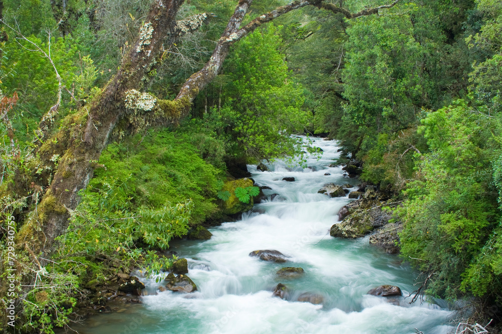 Fluss im Regenwald, Carretera Austral, Chile