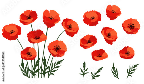 poppy flowers background.Eps 10 vector.