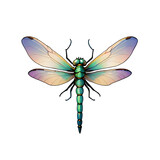 Elegant digital dragonfly with iridescent wings

A stunning digital rendering of a dragonfly with iridescent wings, perfect for nature-themed designs, scientific illustrations, and elegant graphic pro
