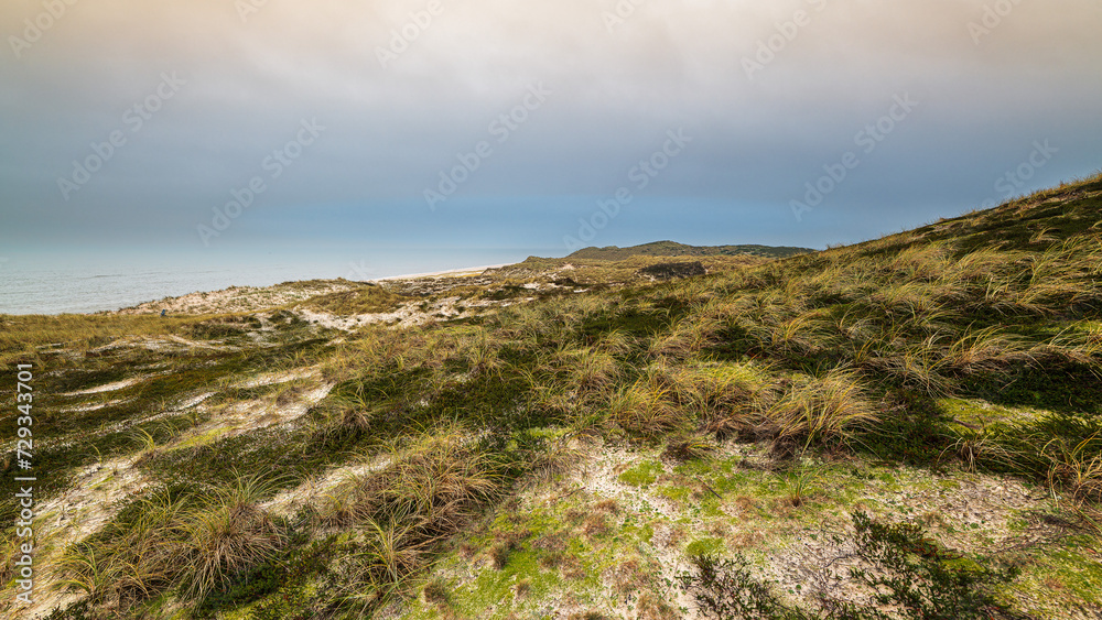 Sylt Dünen Ellenbogen Sylt Dünen Ellenbogen
