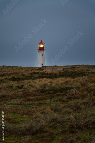 Sylt D  nen Ellenbogen