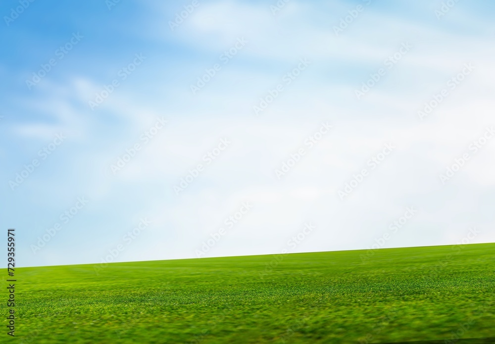 Landscape view with green grass and blue sky