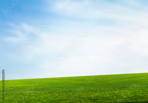 Landscape view with green grass and blue sky
