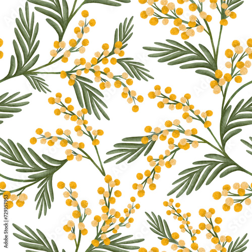 Billede på lærred Botanical seamless pattern with yellow mimosa flowers and leaves on white background