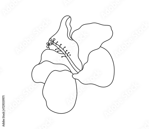 Vector isolated one single hibiscus flower colorless black and white contour line easy drawing