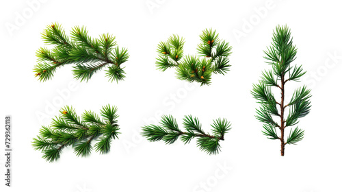 Pine Tree and Plant Collection in Stunning Digital Art 3D  Perfect for Garden Design Elements and Aromatic Perfume Illustrations  Isolated on Transparent Background