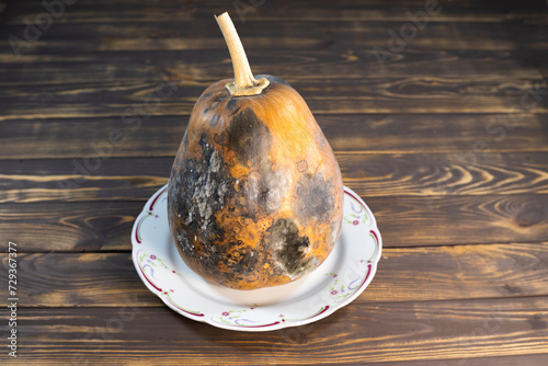Rotten pumpkin. Decayed pumpkins problem. Spoiled food. Moldy fruit. photo