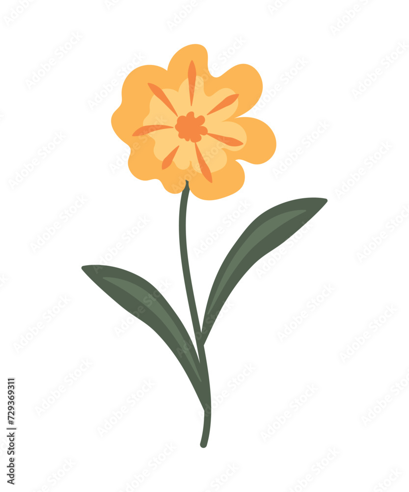 Plant stem with a yellow simple flower. Wild flower isolated on white background. Yellow spring flower. Vector illustration. Plant stem with a yellow simple flower. Wild flower isolated on white background. Yellow spring flower. Vector illustration.