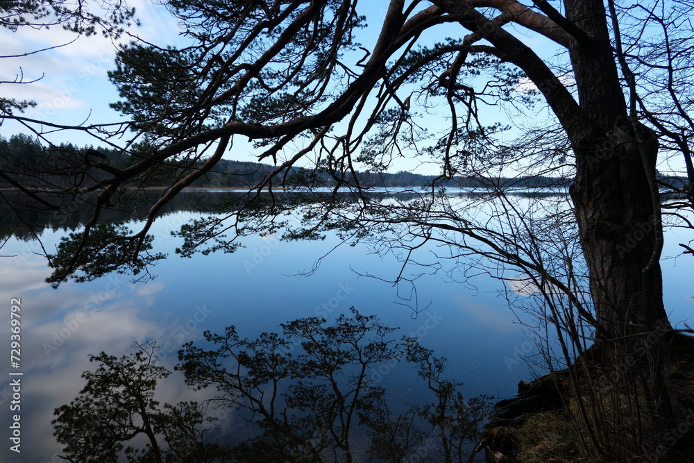 Naklejka premium Lake
