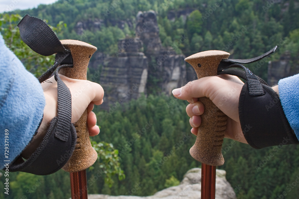 Nahaufnahme von Wanderstöcken mit Blick auf Sandsteinfelsen, Elbsandsteingebirge, Sachsen, Deutschland