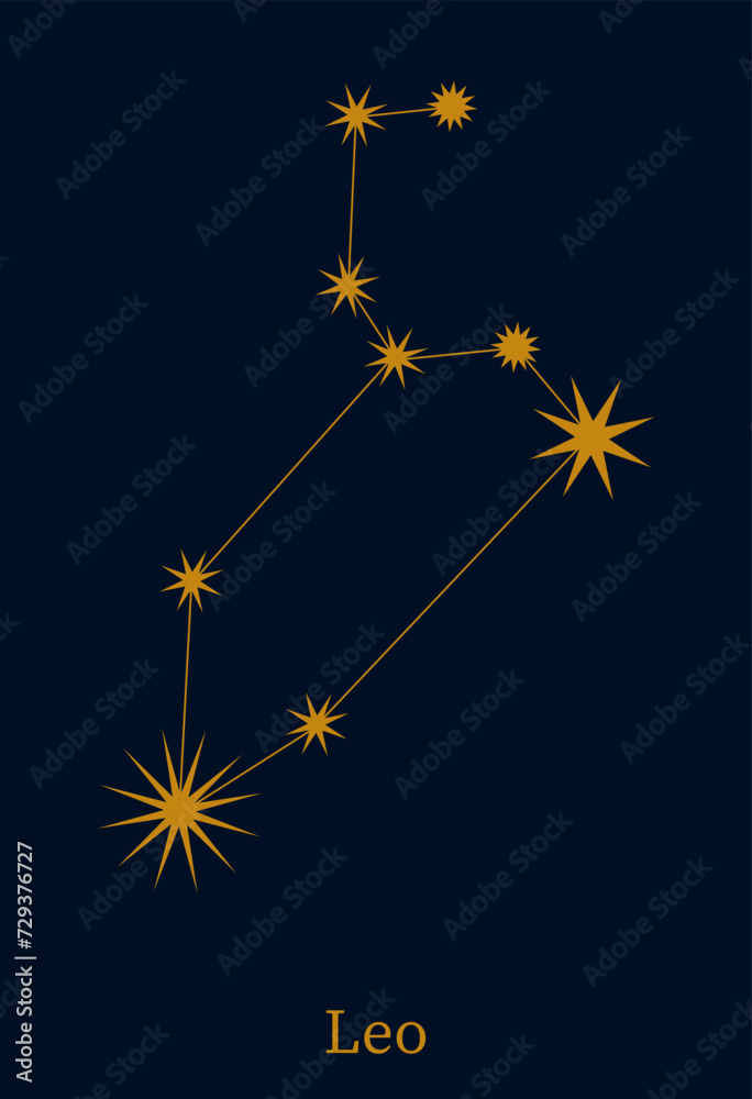 Leo zodiac constellation. Astronomical symbol horoscope. Minimalist style astrological sign vector illustration.