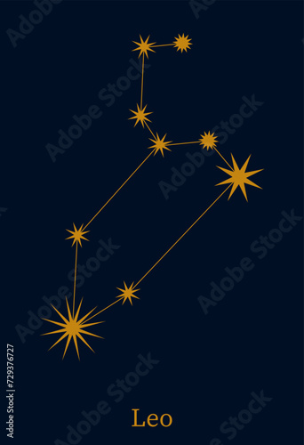 Leo zodiac constellation. Astronomical symbol horoscope. Minimalist style astrological sign vector illustration.