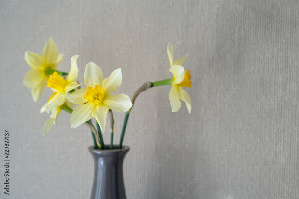 Still life with a blooming bouquet of daffodils in a vase on a textured ...