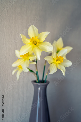 Still life with a blooming bouquet of daffodils in a vase on a textured beige background