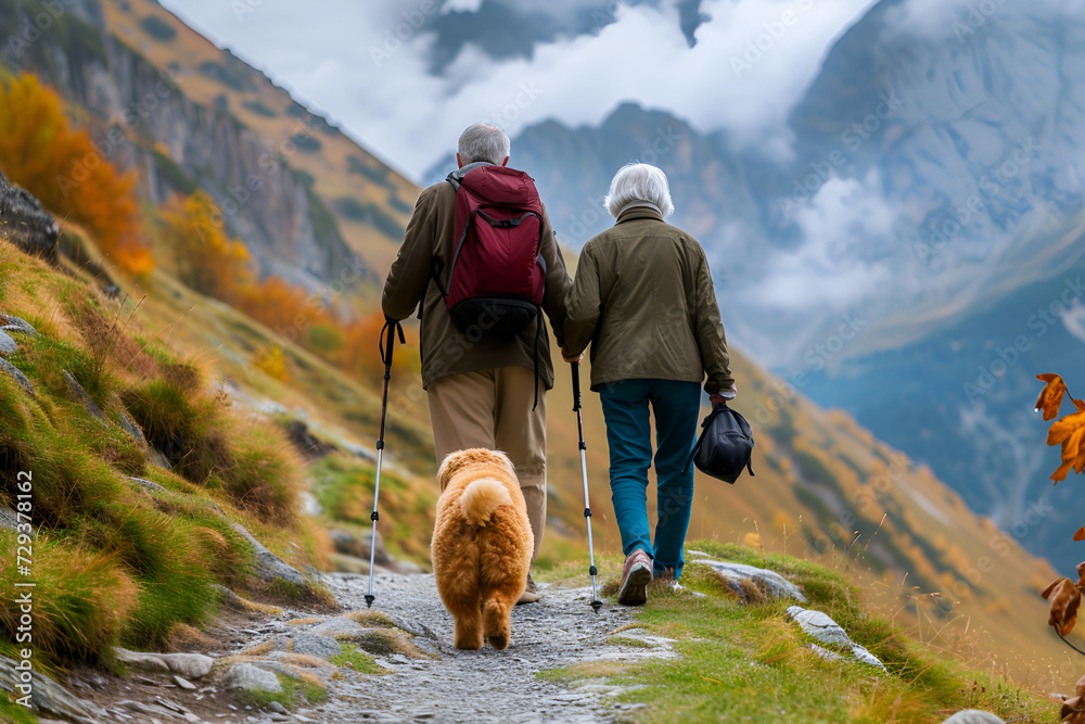 Back view of an elderly gray-haired man with a backpack and an elderly woman walking in the mountains with a red fluffy Goldendoodle dog Active healthy lifestyle seniors