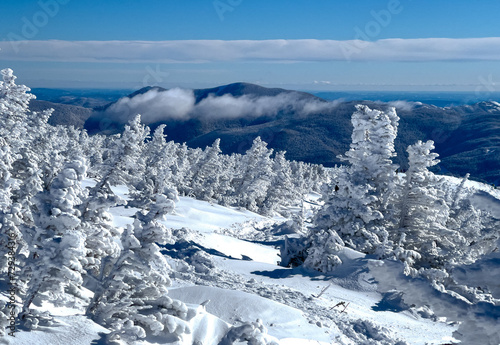 Snow covered branches and trees in the Alpine Zone of Mount Washington NH during the wintertime. This extreme hiking journey is covered in snow and icy.