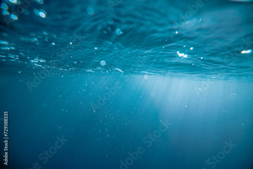 Underwater Life Blue