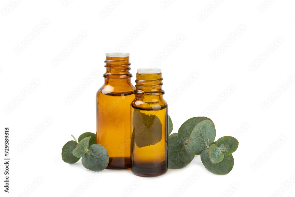 Eucalyptus essential oil in a glass bottle with green eucalyptus leaves isolated on white background. Aromatherapy. Spa. Concept of natural cosmetology and beauty industry. Eucalyptus essential oil in a glass bottle with green eucalyptus leaves isolated on white background. Aromatherapy. Spa. Concept of natural cosmetology and beauty industry.
