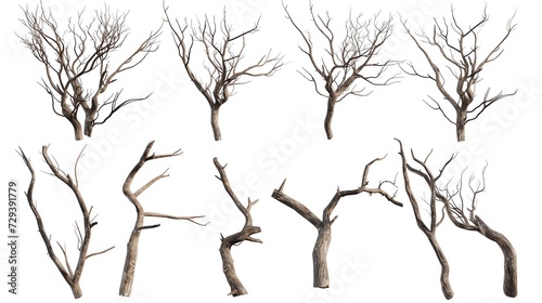 Set of Branch