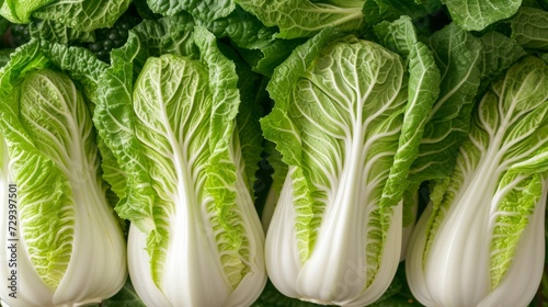 Fresh Chinese cabbage, with crisp leaves and a pale shade of green. They are neatly arranged on a clean white background. This eye-catching composition emphasizes the natural beauty of the vegetable.
