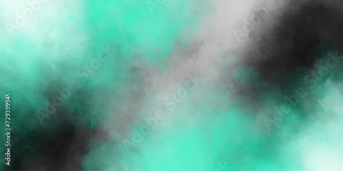Mint Black White dreamy atmosphere clouds or smoke burnt rough.abstract watercolor.ice smoke.spectacular abstract empty space powder and smoke vintage grunge.dreaming portrait vector desing. 