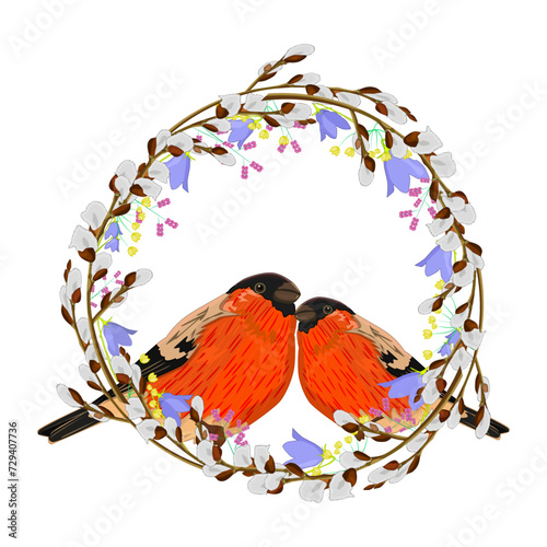 Red birds and spring wreath of pussy willow isolated on white background. Easter frame with pussy willow branches and two bullfinch.Circle frame for springtime holiday design.Stock vector illustration