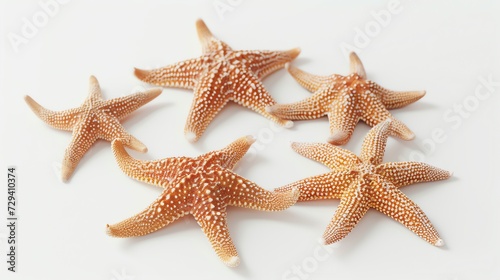 Set of Starfish