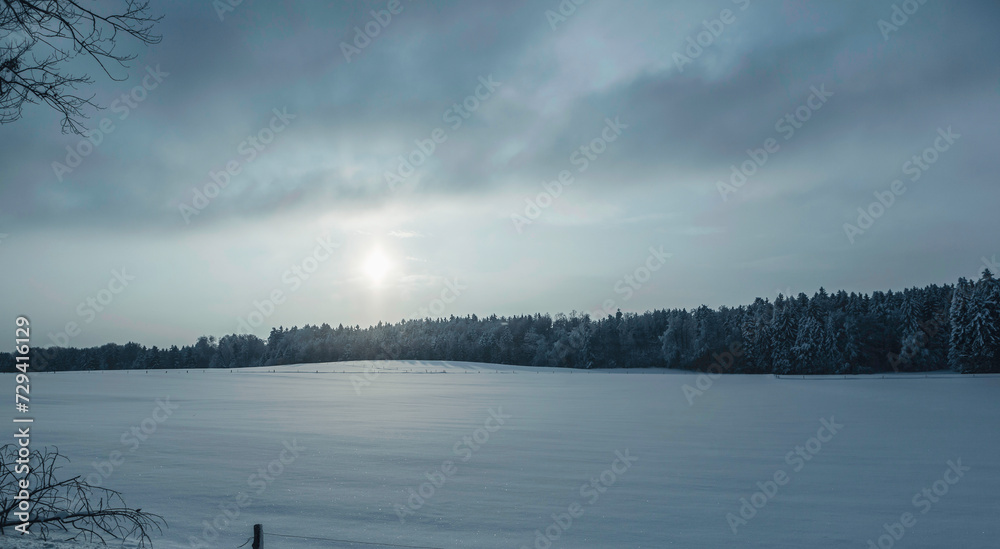 Winter snow landscape with cloudy skies and snowy grounds and trees Winter snow landscape with cloudy skies and snowy grounds and trees