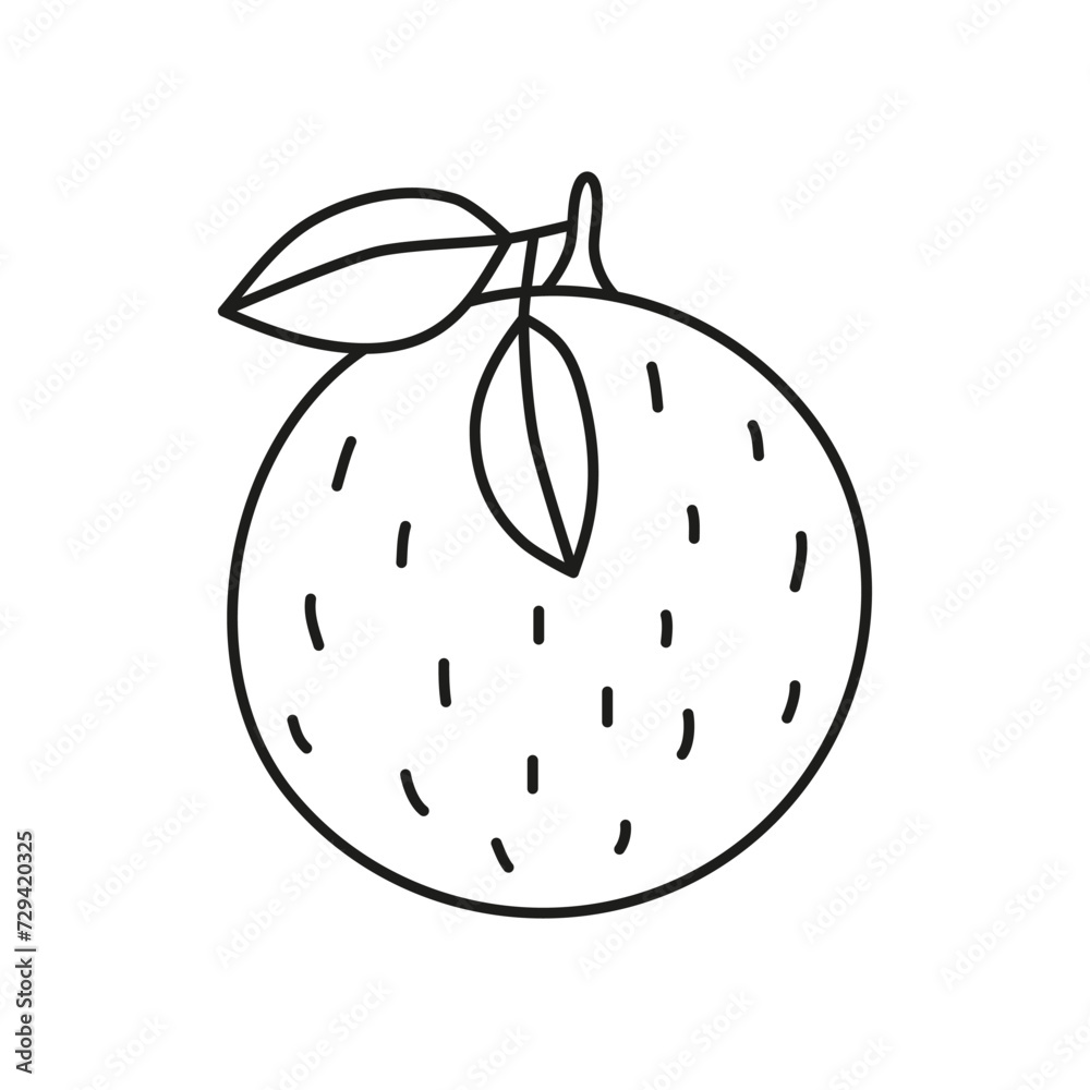 Doodle outline orange fruit. Doodle outline orange fruit.