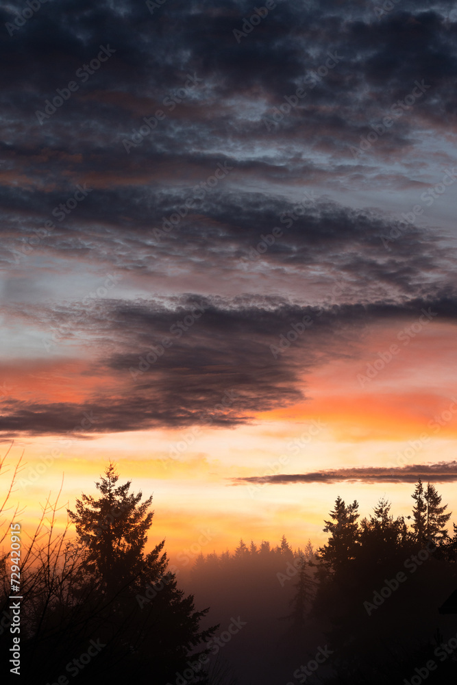Sunrise over silhouettes of trees, in Eugene, Oregon.