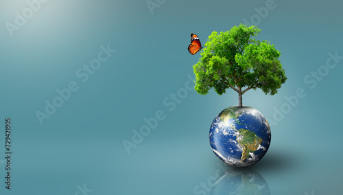 Fototapeta Naklejka Na Ścianę i Meble -  Tree growing on Earth with green grass on and butterfly. World Ecology, World Environment Day, World Earth Day, and Saving environment Concept. Image furnished by NASA.