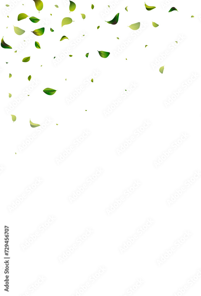 Swamp Leaf Blur White Vector Background Pattern. Swamp Leaf Blur White Vector Background Pattern.